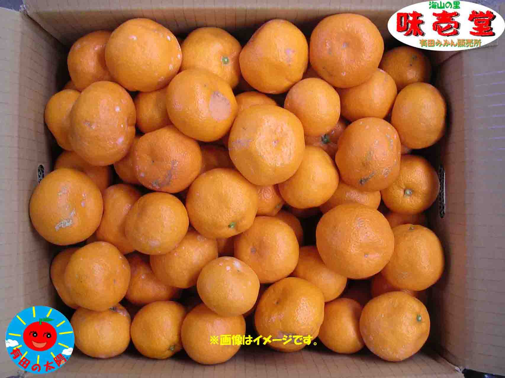 訳ありサイズ混合